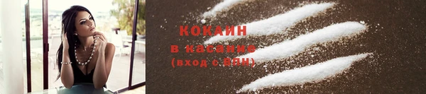 твердый Новодвинск