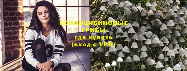 дурь Верея
