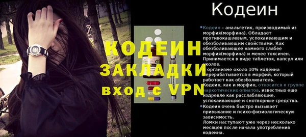 СК Волосово