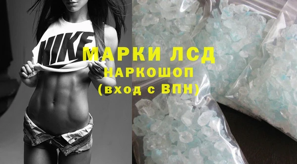 спиды Нея