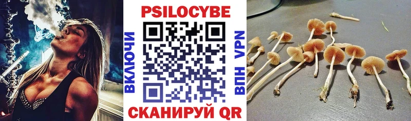 Галлюциногенные грибы Magic Shrooms  KRAKEN маркетплейс  Лысково 
